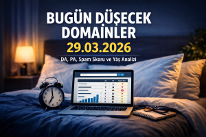Bugün Düşecek Domainler 29.03.2026