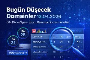 Bugün Düşecek Domainler 13.04.2026