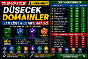 Bugün Düşecek Domainler 29.04.2026