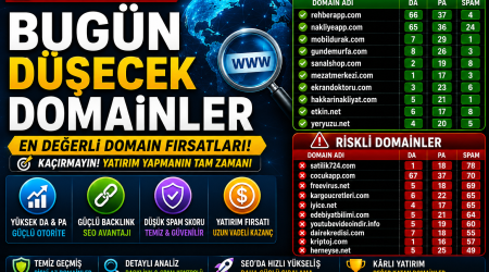 Bugün Düşecek Domainler 13.05.2026