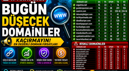 Bugün Düşecek Domainler 17.05.2026
