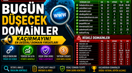 Bugün Düşecek Domainler 20.05.2026