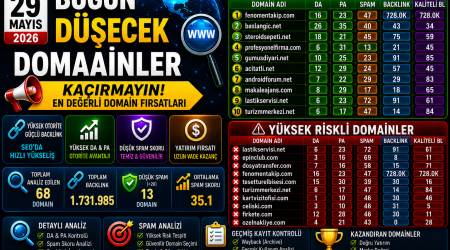 Bugün Düşecek Domainler 29.05.2026