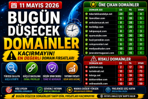 Bugün düşecek domainler 11.05.2026