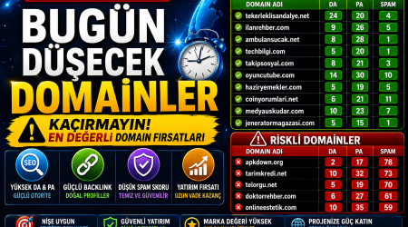 Bugün düşecek domainler 11.05.2026